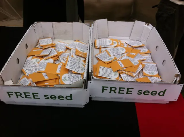 Imagen de cajas con semillas libres
