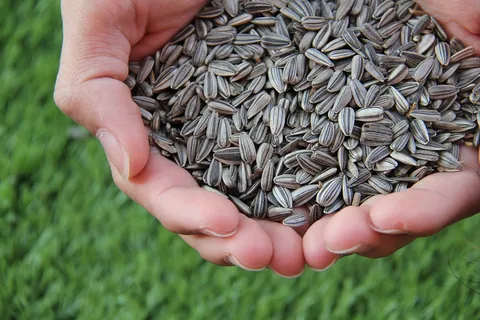 Image of seeds