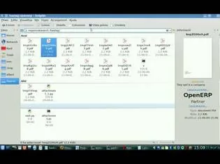 Koo semantic features
