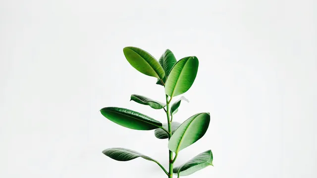 AI's "Low-Hanging Fruit"